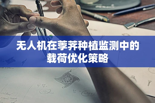 无人机在荸荠种植监测中的载荷优化策略