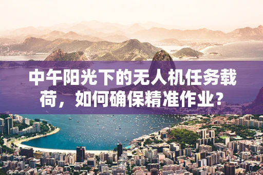 中午阳光下的无人机任务载荷，如何确保精准作业？
