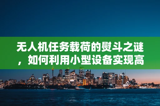 无人机任务载荷的熨斗之谜，如何利用小型设备实现高效载荷集成？