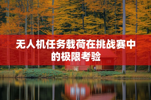 无人机任务载荷在挑战赛中的极限考验