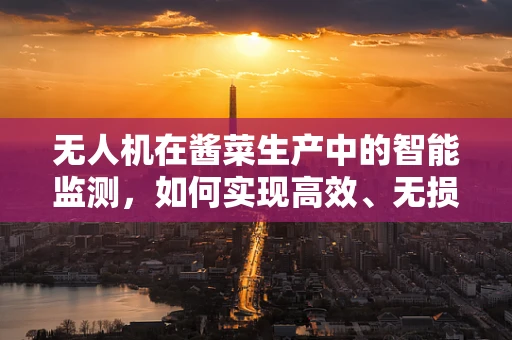 无人机在酱菜生产中的智能监测，如何实现高效、无损的作物监测？