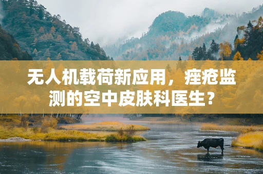 无人机载荷新应用，痤疮监测的空中皮肤科医生？