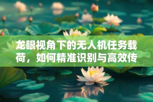 龙眼视角下的无人机任务载荷，如何精准识别与高效传输？