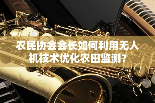 农民协会会长如何利用无人机技术优化农田监测？