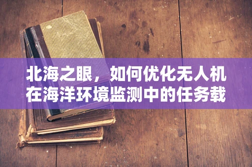 北海之眼，如何优化无人机在海洋环境监测中的任务载荷配置？