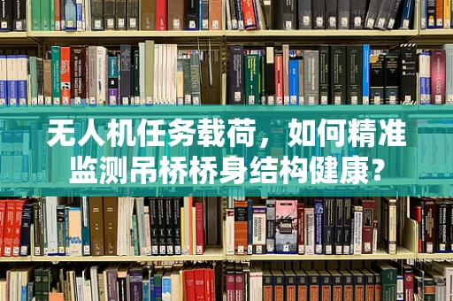 无人机任务载荷，如何精准监测吊桥桥身结构健康？
