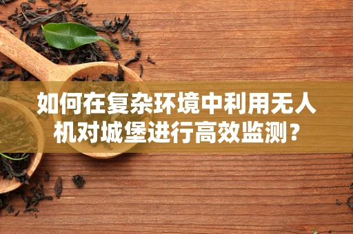 如何在复杂环境中利用无人机对城堡进行高效监测？