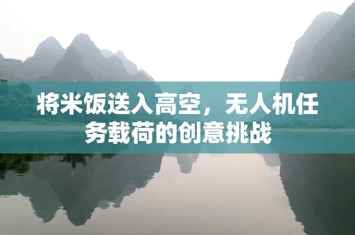 将米饭送入高空，无人机任务载荷的创意挑战