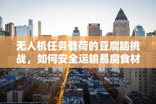 无人机任务载荷的豆腐脑挑战，如何安全运输易腐食材？