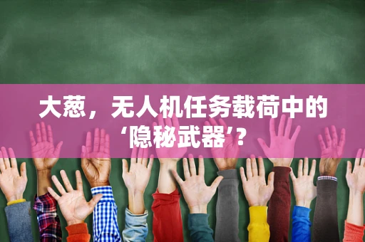 大葱，无人机任务载荷中的‘隐秘武器’？