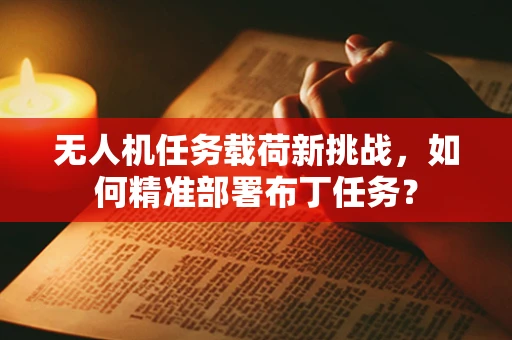 无人机任务载荷新挑战，如何精准部署布丁任务？