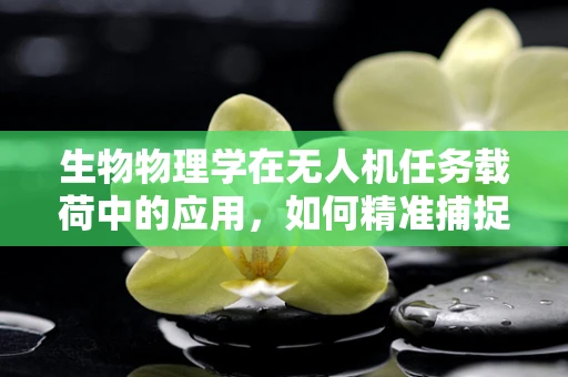 生物物理学在无人机任务载荷中的应用，如何精准捕捉自然界的微观奥秘？
