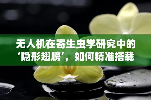 无人机在寄生虫学研究中的‘隐形翅膀’，如何精准搭载任务载荷以提升样本采集效率？