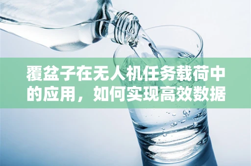 覆盆子在无人机任务载荷中的应用，如何实现高效数据采集？