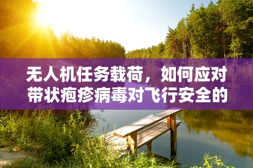 无人机任务载荷，如何应对带状疱疹病毒对飞行安全的影响？
