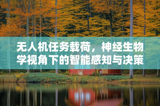 无人机任务载荷，神经生物学视角下的智能感知与决策优化