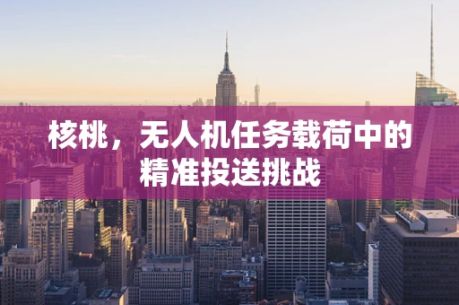 核桃，无人机任务载荷中的精准投送挑战