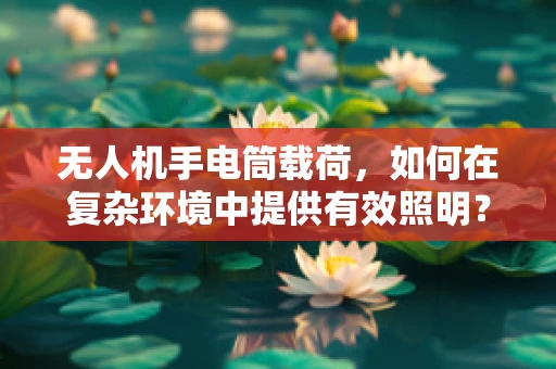 无人机手电筒载荷，如何在复杂环境中提供有效照明？