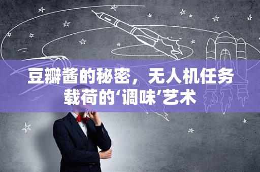 豆瓣酱的秘密，无人机任务载荷的‘调味’艺术
