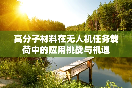 高分子材料在无人机任务载荷中的应用挑战与机遇