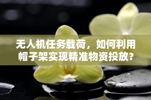 无人机任务载荷，如何利用帽子架实现精准物资投放？