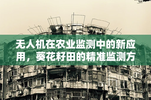 无人机在农业监测中的新应用，葵花籽田的精准监测方案？
