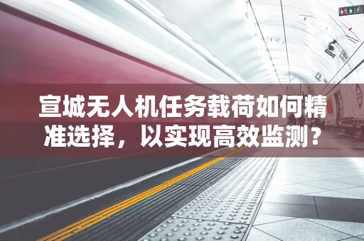 宣城无人机任务载荷如何精准选择，以实现高效监测？