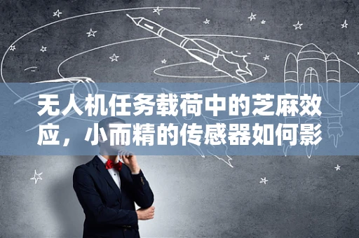 无人机任务载荷中的芝麻效应，小而精的传感器如何影响大任务？