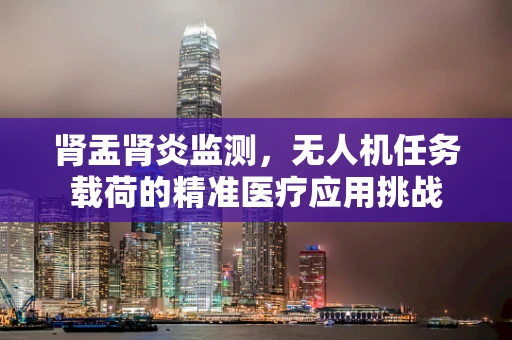 肾盂肾炎监测，无人机任务载荷的精准医疗应用挑战