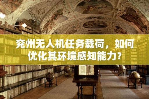 兖州无人机任务载荷，如何优化其环境感知能力？
