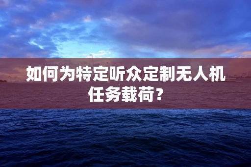 如何为特定听众定制无人机任务载荷？