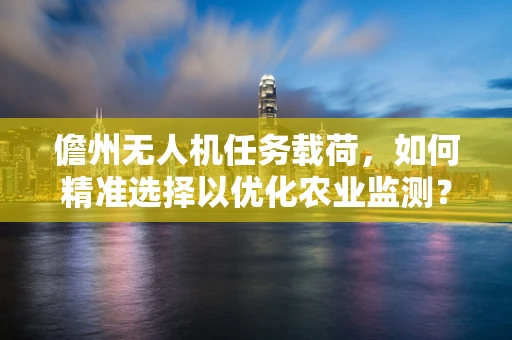 儋州无人机任务载荷，如何精准选择以优化农业监测？
