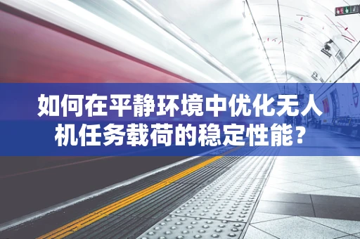 如何在平静环境中优化无人机任务载荷的稳定性能？