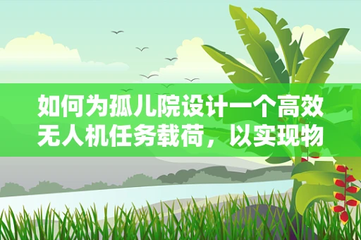 如何为孤儿院设计一个高效无人机任务载荷，以实现物资精准配送？
