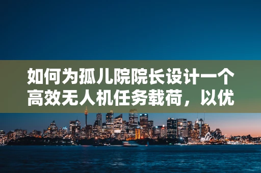 如何为孤儿院院长设计一个高效无人机任务载荷，以优化资源分配与儿童关怀？