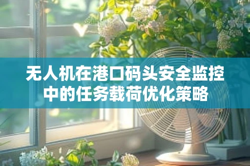 无人机在港口码头安全监控中的任务载荷优化策略