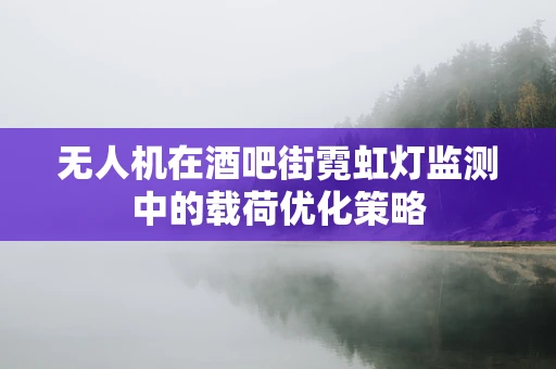 无人机在酒吧街霓虹灯监测中的载荷优化策略