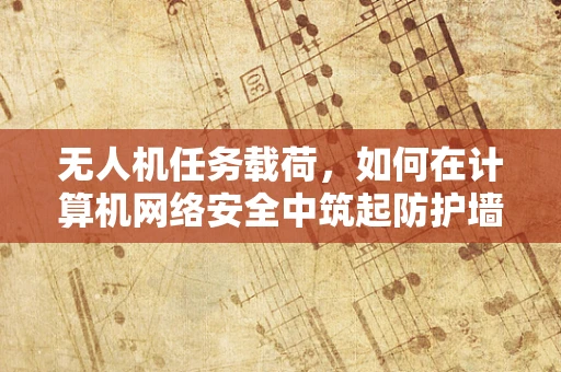 无人机任务载荷，如何在计算机网络安全中筑起防护墙？