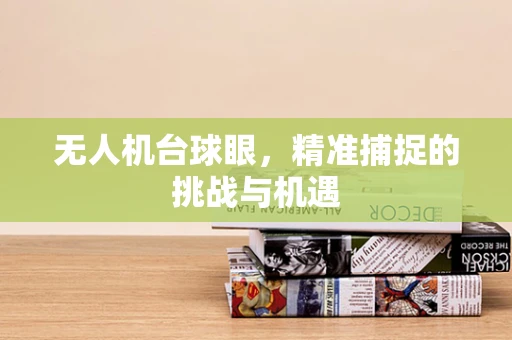无人机台球眼，精准捕捉的挑战与机遇