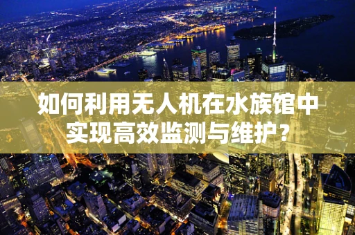 如何利用无人机在水族馆中实现高效监测与维护？