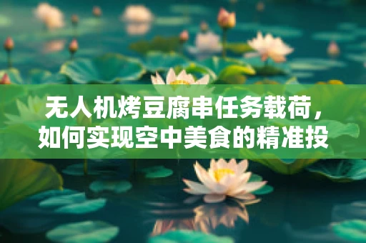 无人机烤豆腐串任务载荷，如何实现空中美食的精准投送？