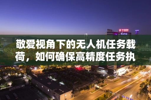 敬爱视角下的无人机任务载荷，如何确保高精度任务执行中的安全与效率？