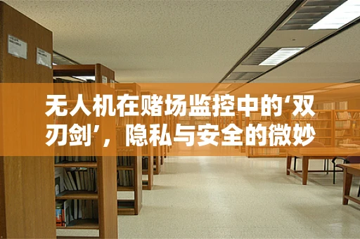 无人机在赌场监控中的‘双刃剑’，隐私与安全的微妙平衡？