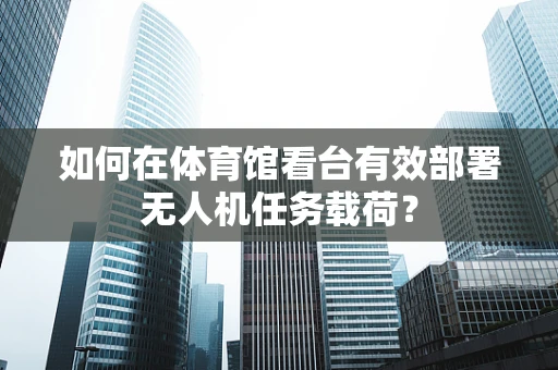 如何在体育馆看台有效部署无人机任务载荷？