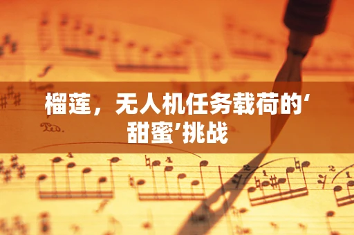 榴莲，无人机任务载荷的‘甜蜜’挑战