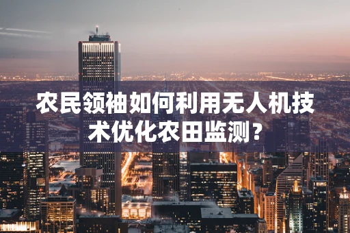 农民领袖如何利用无人机技术优化农田监测？