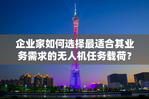 企业家如何选择最适合其业务需求的无人机任务载荷？
