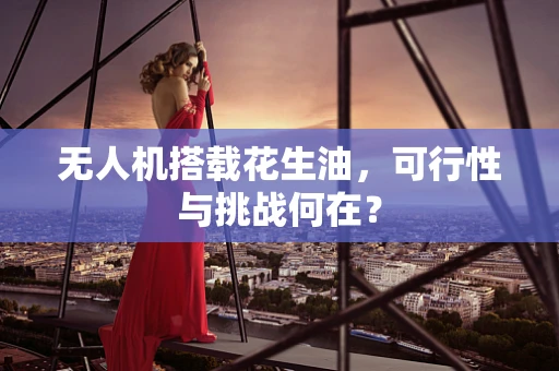 无人机搭载花生油，可行性与挑战何在？