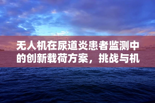 无人机在尿道炎患者监测中的创新载荷方案，挑战与机遇