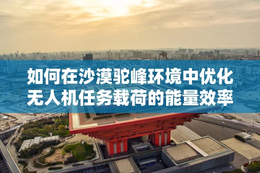 如何在沙漠驼峰环境中优化无人机任务载荷的能量效率？